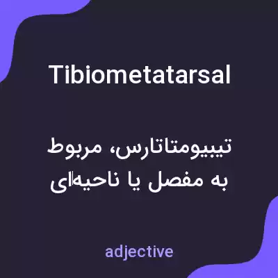 معنی tibiometatarsal به فارسی معنی tibiometatarsal به فارسی