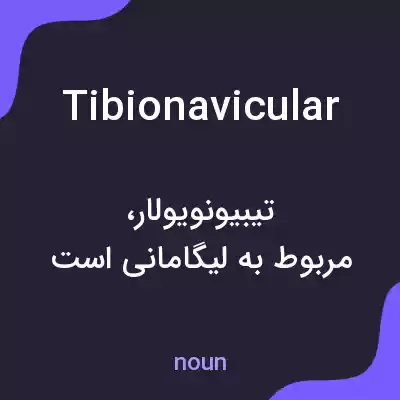 معنی tibionavicular به فارسی معنی tibionavicular به فارسی