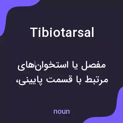 معنی tibiotarsal به فارسی معنی tibiotarsal به فارسی