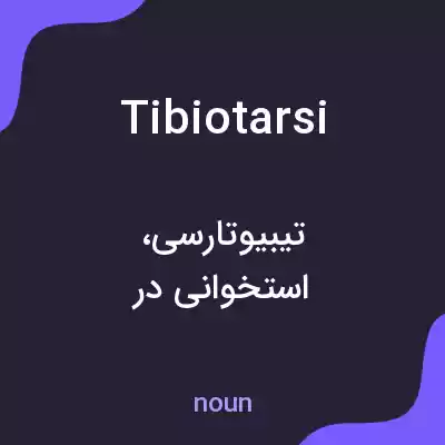 معنی tibiotarsi به فارسی معنی tibiotarsi به فارسی