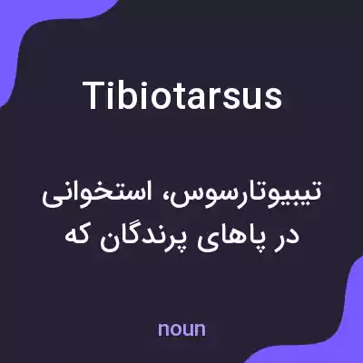 معنی tibiotarsus به فارسی معنی tibiotarsus به فارسی