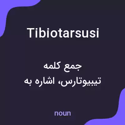 معنی tibiotarsusi به فارسی معنی tibiotarsusi به فارسی