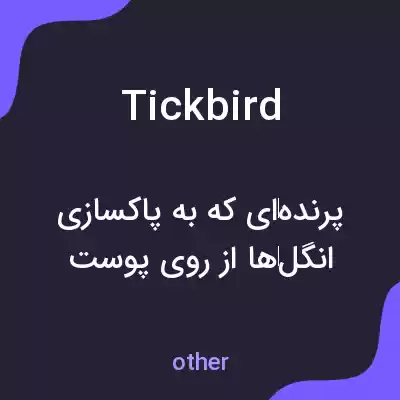 معنی tickbird به فارسی معنی tickbird به فارسی