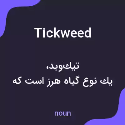 معنی tickweed به فارسی معنی tickweed به فارسی