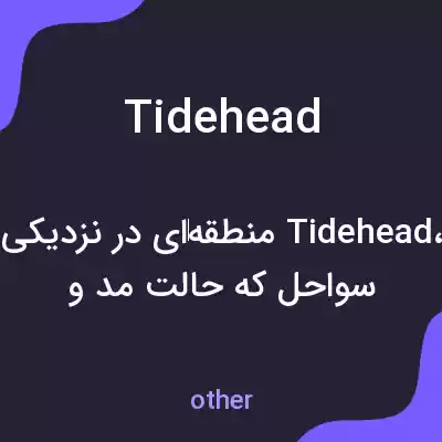 معنی tidehead به فارسی معنی tidehead به فارسی