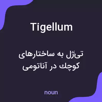 معنی tigellum به فارسی معنی tigellum به فارسی