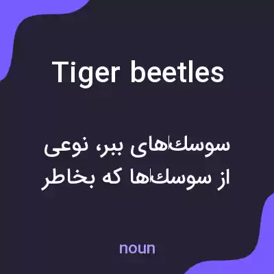 معنی tiger beetles به فارسی معنی tiger beetles به فارسی
