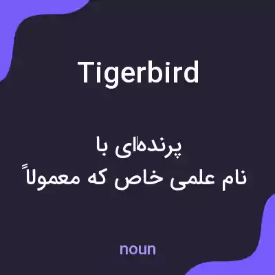 معنی tigerbird به فارسی معنی tigerbird به فارسی