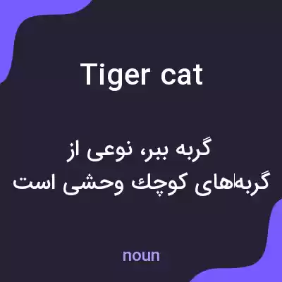 معنی tiger cat به فارسی معنی tiger cat به فارسی