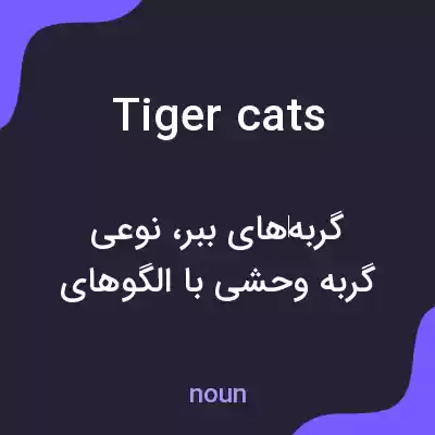 معنی tiger cats به فارسی معنی tiger cats به فارسی