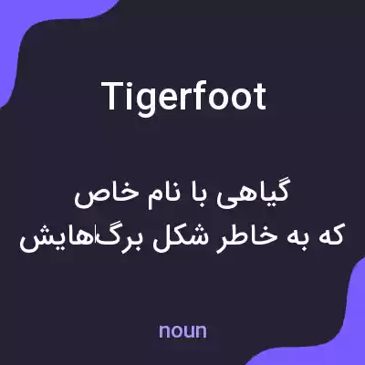 معنی tigerfoot به فارسی