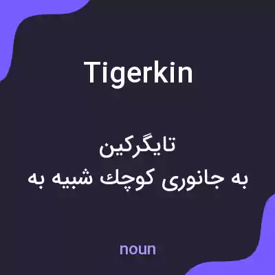 معنی tigerkin به فارسی معنی tigerkin به فارسی
