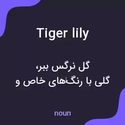 معنی tiger lily به فارسی معنی tiger lily به فارسی