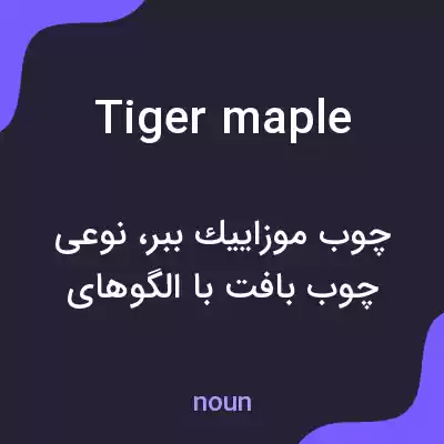 معنی tiger maple به فارسی معنی tiger maple به فارسی