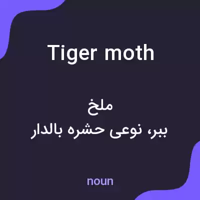 معنی tiger moth به فارسی