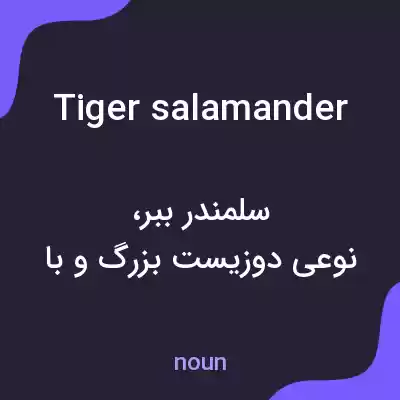 معنی tiger salamander به فارسی معنی tiger salamander به فارسی