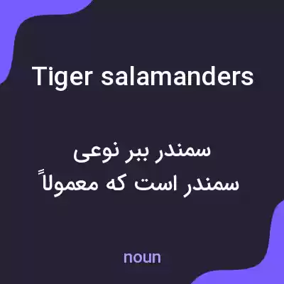 معنی tiger salamanders به فارسی معنی tiger salamanders به فارسی