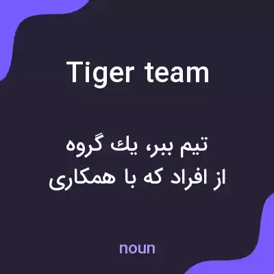 معنی tiger team به فارسی معنی tiger team به فارسی