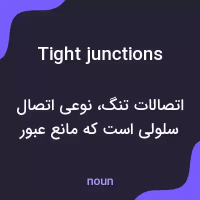 معنی tight junctions به فارسی
