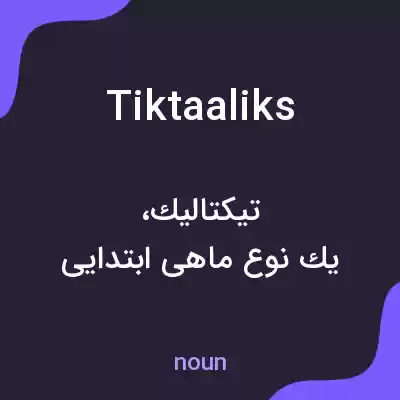 معنی tiktaaliks به فارسی معنی tiktaaliks به فارسی