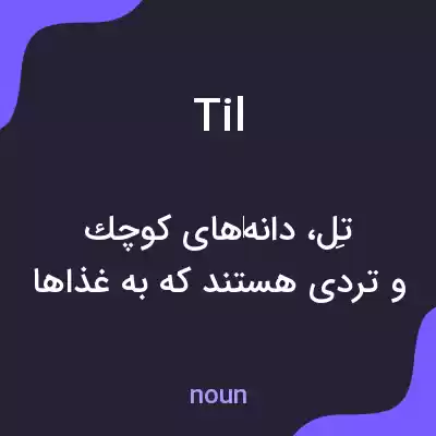 معنی til به فارسی معنی til به فارسی