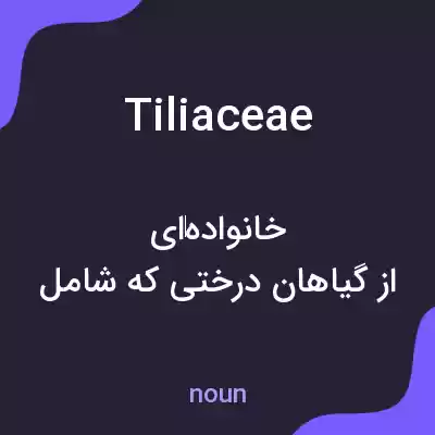 معنی tiliaceae به فارسی معنی tiliaceae به فارسی