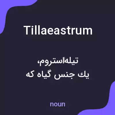 معنی tillaeastrum به فارسی معنی tillaeastrum به فارسی