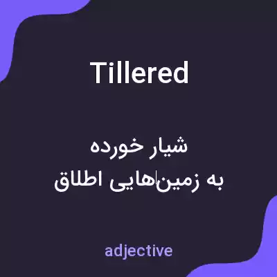 معنی tillered به فارسی معنی tillered به فارسی