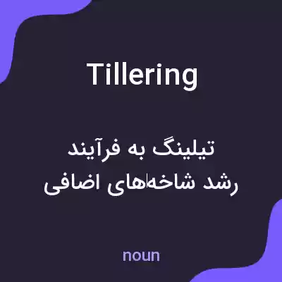 معنی tillering به فارسی معنی tillering به فارسی