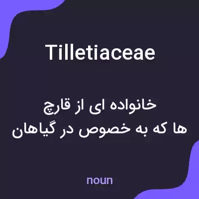 معنی tilletiaceae به فارسی معنی tilletiaceae به فارسی