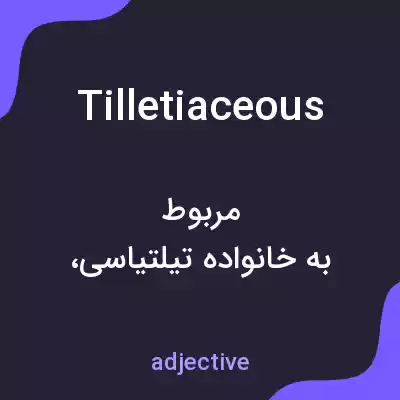 معنی tilletiaceous به فارسی معنی tilletiaceous به فارسی