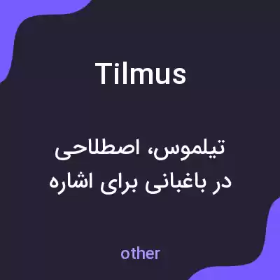معنی tilmus به فارسی معنی tilmus به فارسی