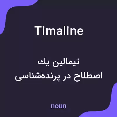 معنی timaline به فارسی معنی timaline به فارسی