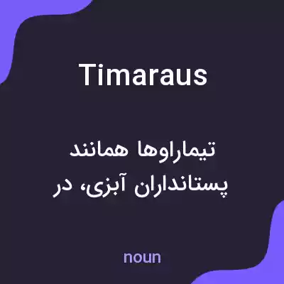 معنی timaraus به فارسی معنی timaraus به فارسی