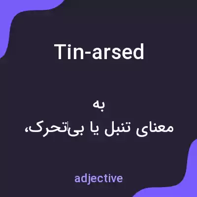 معنی tin-arsed به فارسی معنی tin-arsed به فارسی