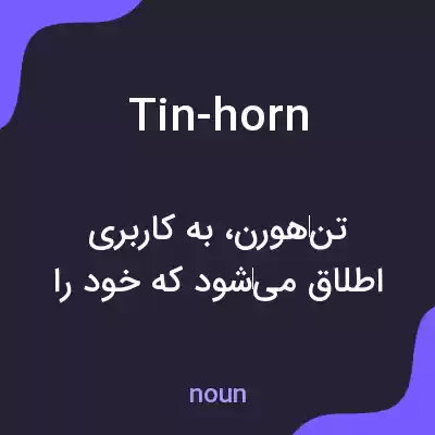 معنی tin-horn به فارسی معنی tin-horn به فارسی