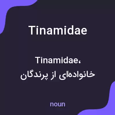 معنی tinamidae به فارسی