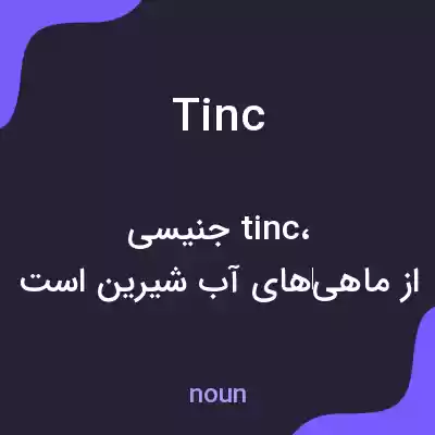 معنی tinc به فارسی معنی tinc به فارسی