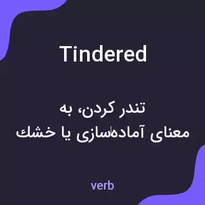 معنی tindered به فارسی معنی tindered به فارسی