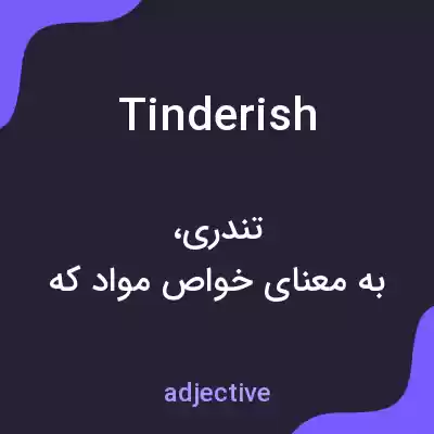 معنی tinderish به فارسی معنی tinderish به فارسی