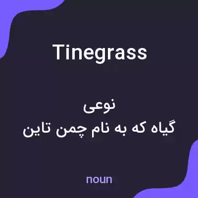 معنی tinegrass به فارسی معنی tinegrass به فارسی