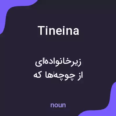 معنی tineina به فارسی معنی tineina به فارسی