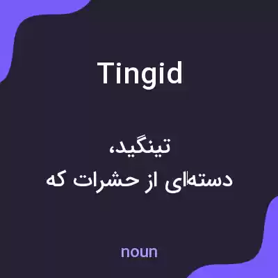 معنی tingid به فارسی معنی tingid به فارسی