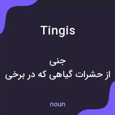 معنی tingis به فارسی معنی tingis به فارسی