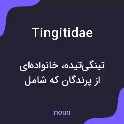 معنی tingitidae به فارسی معنی tingitidae به فارسی