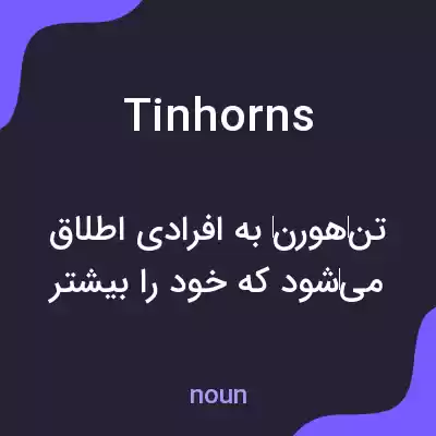 معنی tinhorns به فارسی معنی tinhorns به فارسی