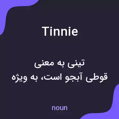 معنی tinnie به فارسی معنی tinnie به فارسی