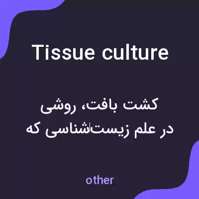 معنی tissue culture به فارسی