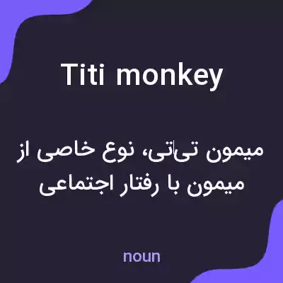 معنی titi monkey به فارسی معنی titi monkey به فارسی