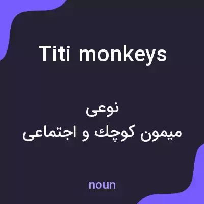معنی titi monkeys به فارسی معنی titi monkeys به فارسی